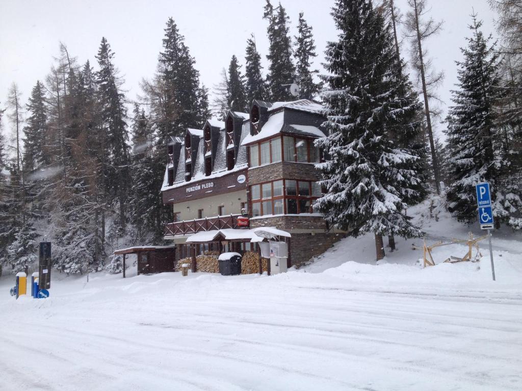 Pleso 3*